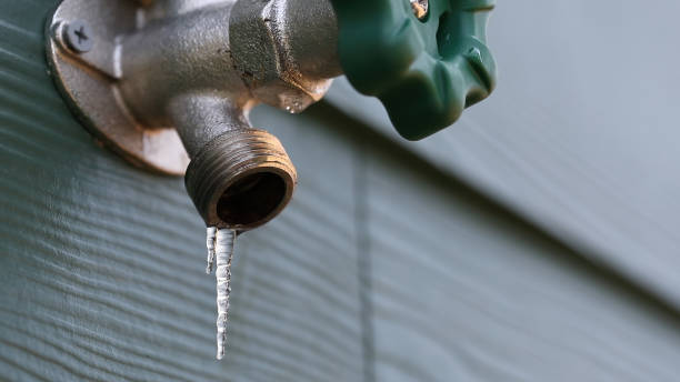 Best Plumbing Services Near Me  in Rogers, TX